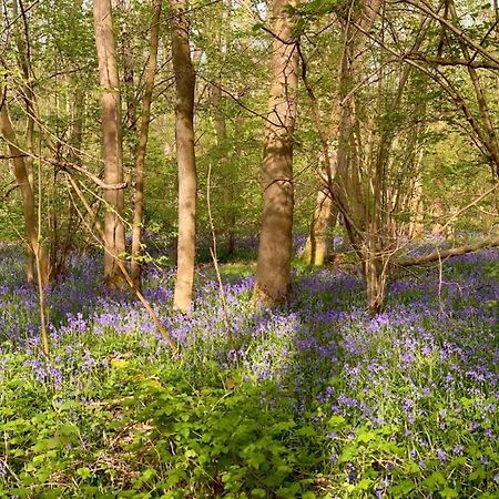 Bluebell Annexe Βίλα Little Grandsen Εξωτερικό φωτογραφία
